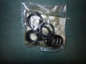 8-738-703-498-0 BOSCH O-RING 23.8X3.95 (10X) BOTTOM