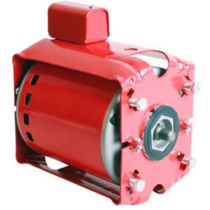 BG111031 1/6 HP MOTOR