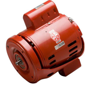 BG111040 1/4 MOTOR