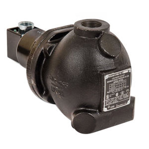 61 LOW WATER CUT-OFF (140100)