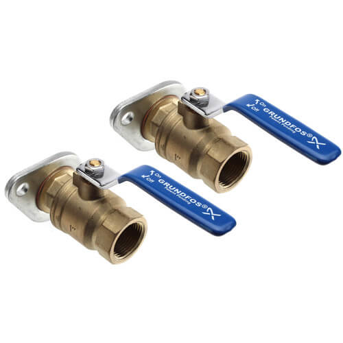 96806131 1" ISOLATION FLANGE KIT WITH THREADED BALL VALVES