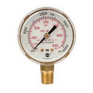 1424-0381 VICTOR 2" X 600#/4200KPA, GOLD TINT, PACKAGED