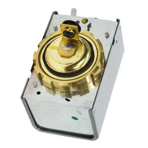F19-0181 POWERHEAD 2-WAY 24V WITH CONDUIT HUB