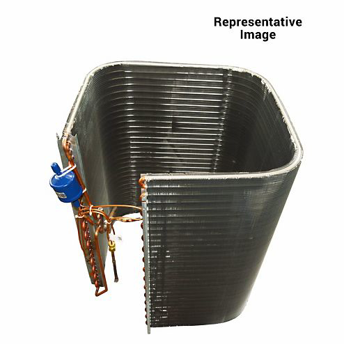 56462