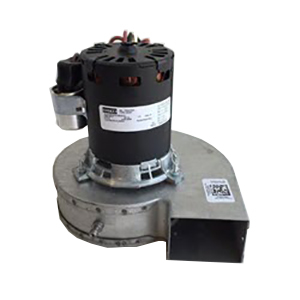 0131L00002S INDUCER MOTOR