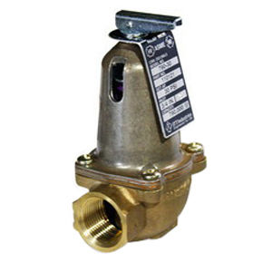 110126 RELIEF VALVE 3/4" 100#