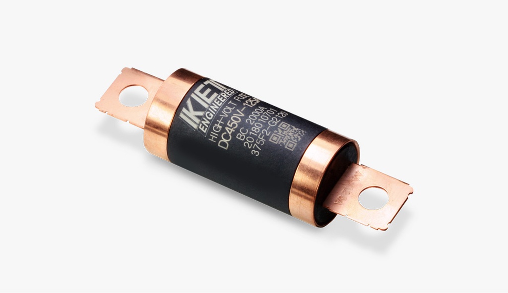 10585601 HIGH AND LOW VOLTAGE FUSE FOR K2 BOILERS