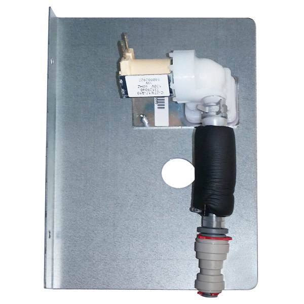 040005529 WATER INLET VALVE (STK-PROG)