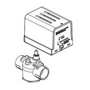 72117